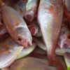 Cá đổng Phú Quốc tươi, thịt ngon ngọt